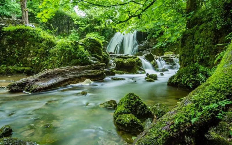 科技高标准